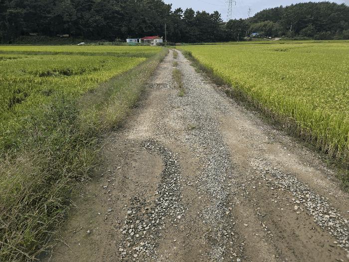 충청남도 서산시 지곡면 환성리 681-3 답 경매 사진 5