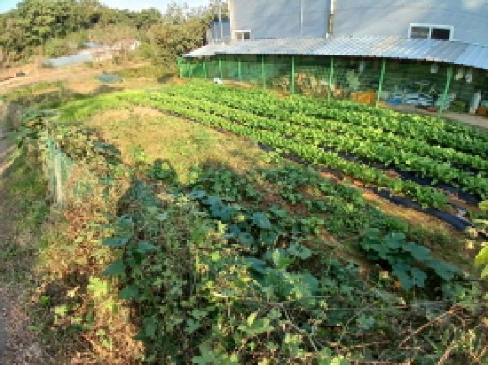 충청남도 당진시 고대면 장항리 1065-2 주차장 경매 사진 4