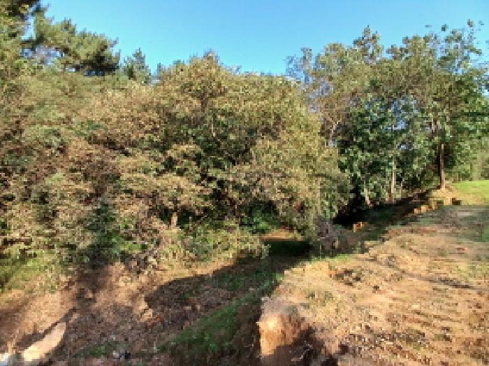 충청남도 당진시 고대면 장항리 1065-2 주차장 경매 사진 6