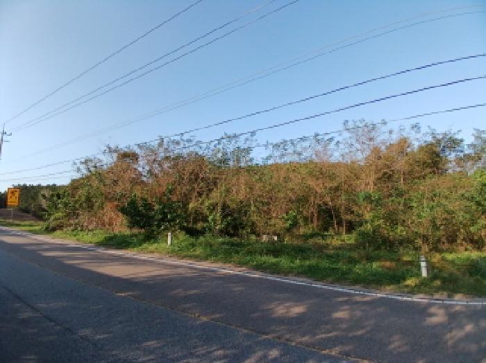 충청남도 당진시 고대면 장항리 1065-2 주차장 경매 사진 7