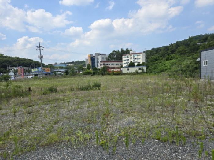 경상북도 영천시 대창면 구지리 1139 답 경매 사진 9
