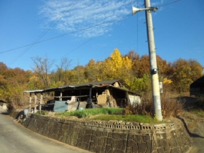 대구광역시 달성군 구지면 목단리 421 대지 경매 사진 7