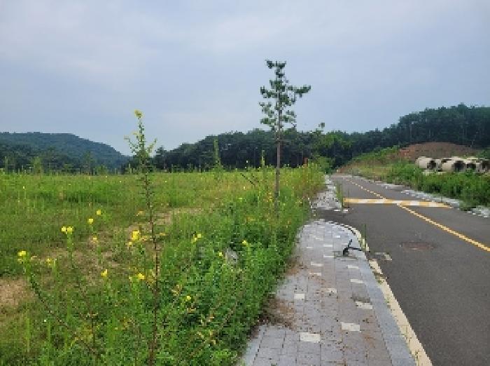 충청남도 공주시 의당면 중흥리 산72-11 임야 경매 사진 11