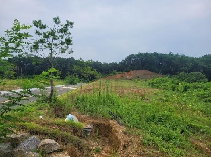 충청남도 공주시 의당면 중흥리 산72-11 임야 경매 사진 12
