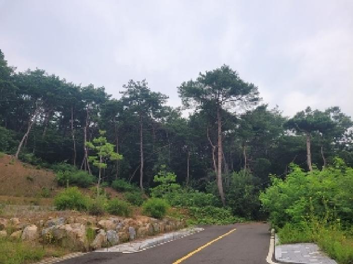 충청남도 공주시 의당면 중흥리 산72-11 임야 경매 사진 14