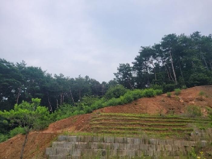 충청남도 공주시 의당면 중흥리 산72-11 임야 경매 사진 17