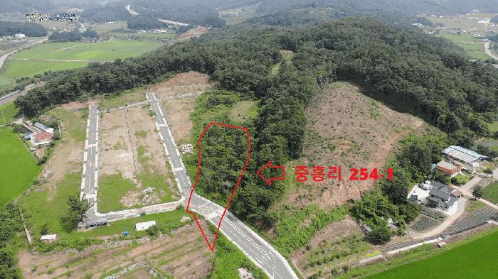 충청남도 공주시 의당면 중흥리 산72-11 임야 경매 사진 4