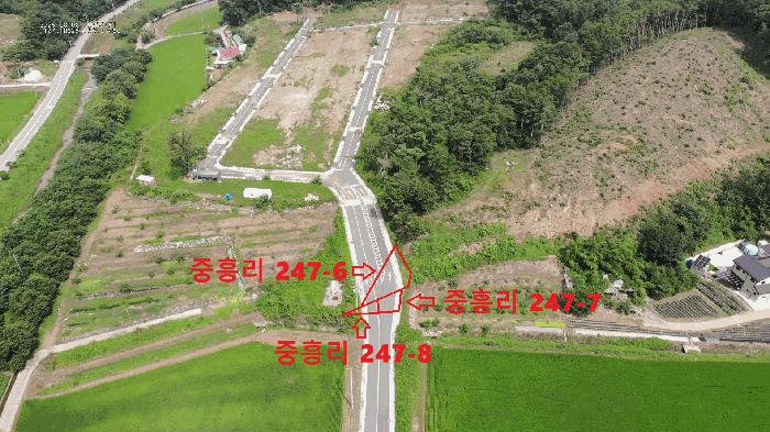 충청남도 공주시 의당면 중흥리 산72-11 임야 경매 사진 6