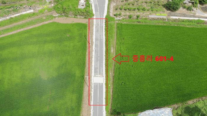 충청남도 공주시 의당면 중흥리 산72-11 임야 경매 사진 7