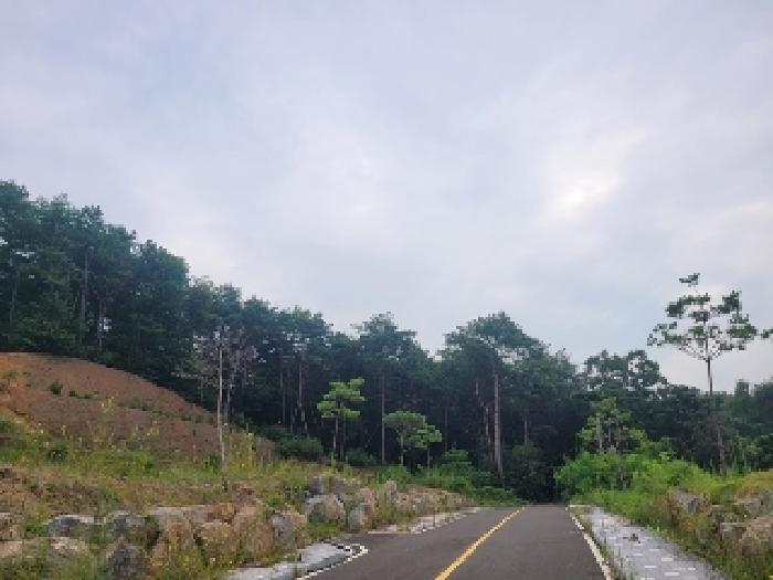 충청남도 공주시 의당면 중흥리 산72-11 임야 경매 사진 8