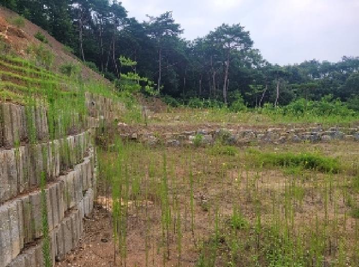 충청남도 공주시 의당면 중흥리 산72-11 임야 경매 사진 9