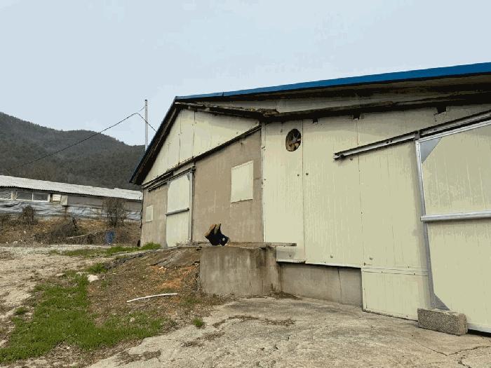 울산광역시 울주군 웅촌면 정주권로 207 창고 경매 사진 18