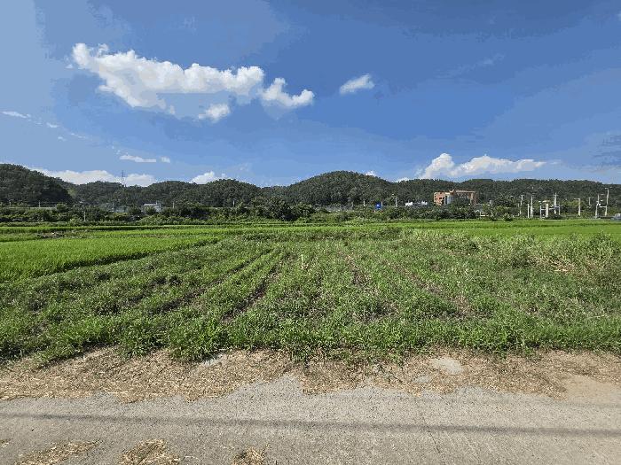 울산 울주군 답