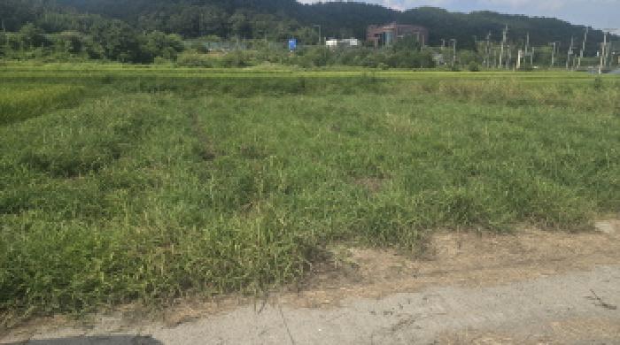 울산광역시 울주군 언양읍 반송리 613-1 답 경매 사진 5