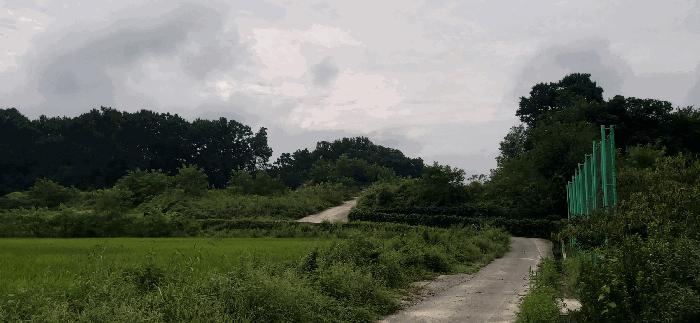 충청북도 괴산군 청안면 읍내리 산15 임야 경매 사진 1