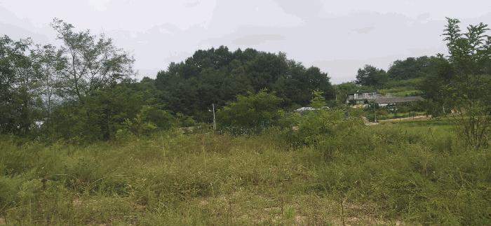 충청북도 괴산군 청안면 읍내리 산15 임야 경매 사진 10
