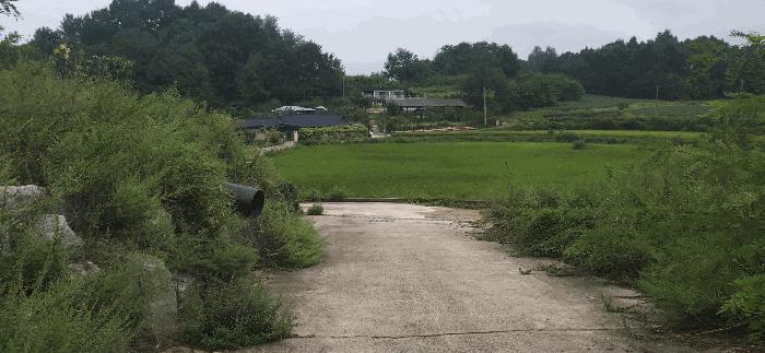 충청북도 괴산군 청안면 읍내리 산15 임야 경매 사진 11
