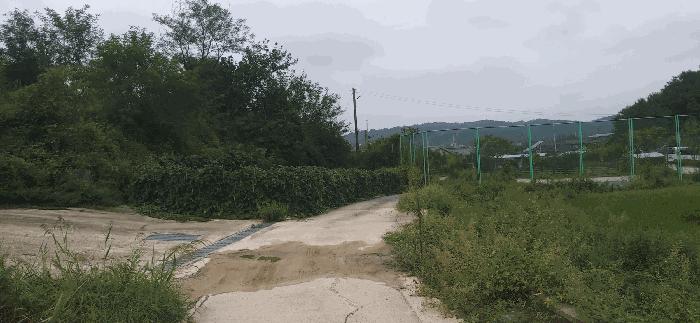 충청북도 괴산군 청안면 읍내리 산15 임야 경매 사진 12