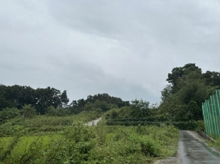 충청북도 괴산군 청안면 읍내리 산15 임야 경매 사진 13