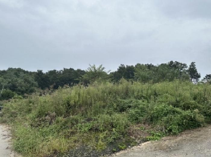 충청북도 괴산군 청안면 읍내리 산15 임야 경매 사진 14