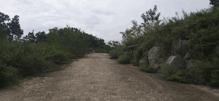 충청북도 괴산군 청안면 읍내리 산15 임야 경매 사진 2