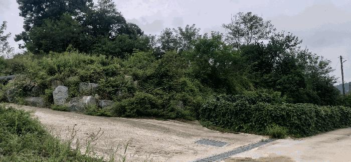 충청북도 괴산군 청안면 읍내리 산15 임야 경매 사진 4
