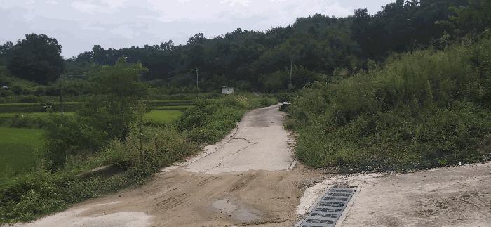 충청북도 괴산군 청안면 읍내리 산15 임야 경매 사진 6