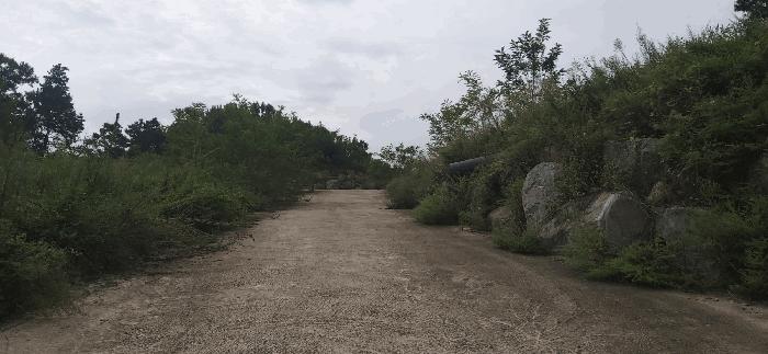 충청북도 괴산군 청안면 읍내리 산15 임야 경매 사진 7