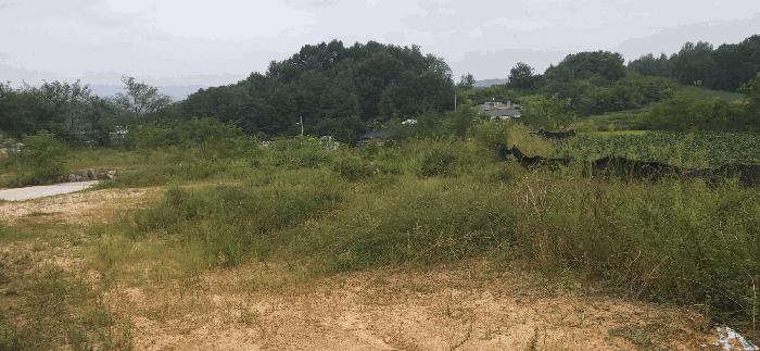 충청북도 괴산군 청안면 읍내리 산15 임야 경매 사진 9
