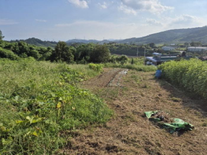 울산광역시 울주군 서생면 위양리 56 과수원 경매 사진 5