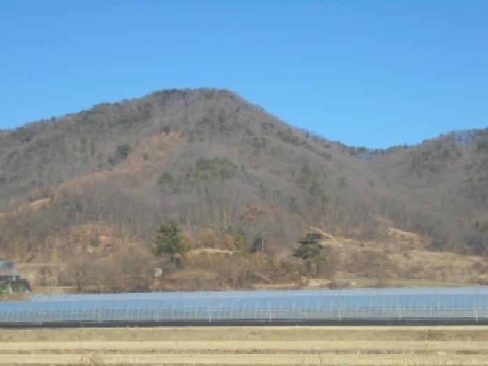 충청북도 청주시 흥덕구 옥산면 장동리 산45 임야 경매 사진 1
