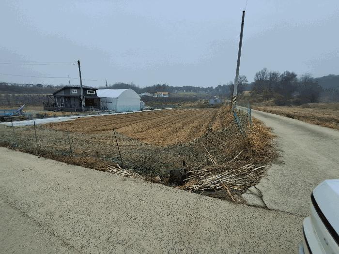 충청북도 청주시 청원구 북이면 석화리 369 답 경매 사진 2