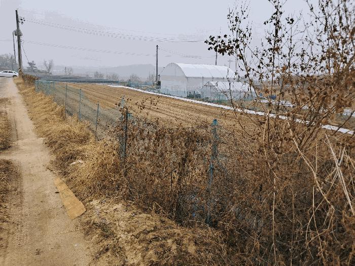 충청북도 청주시 청원구 북이면 석화리 369 답 경매 사진 3