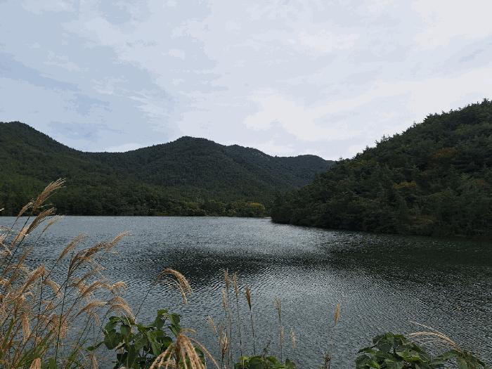 전라남도 고흥군 점암면 연봉리 산124 임야 경매 사진 2