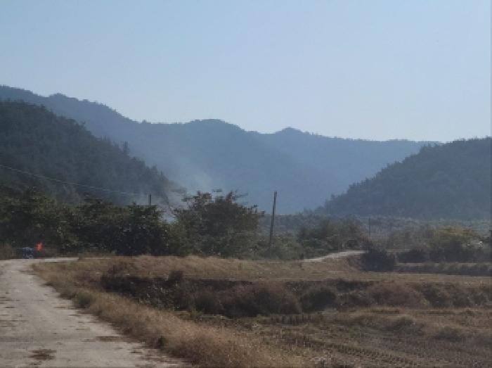전라남도 고흥군 점암면 연봉리 산124 임야 경매 사진 3