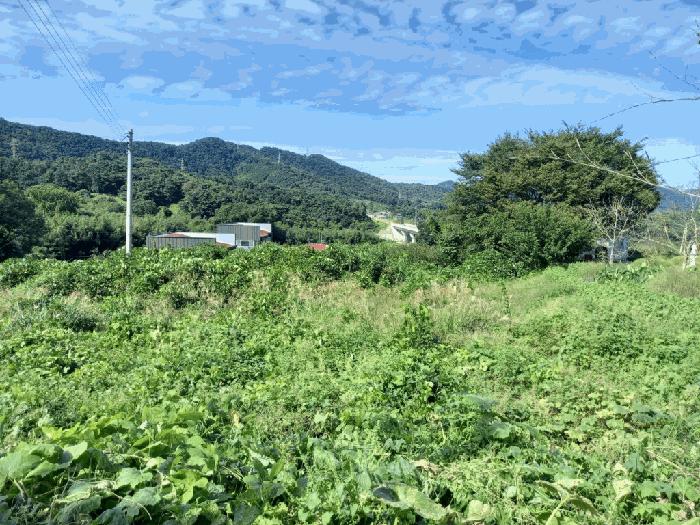 전라남도 장성군 남면 마령리 686-2 전 경매 사진 2