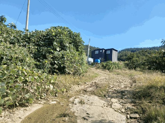 전라남도 장성군 남면 마령리 686-2 전 경매 사진 4