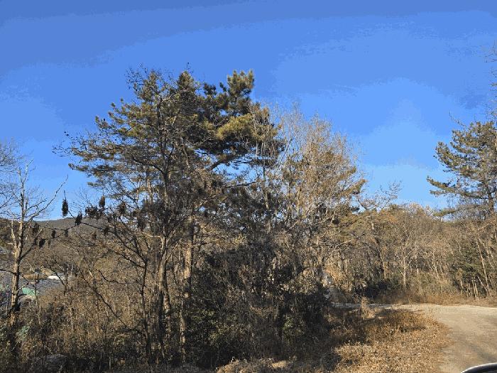 전라남도 여수시 임야
