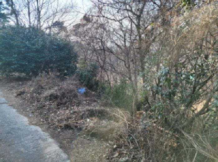 전라남도 여수시 소라면 봉두리 산438 임야 경매 사진 10