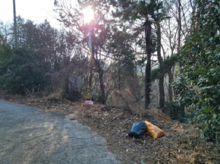 전라남도 여수시 소라면 봉두리 산438 임야 경매 사진 11