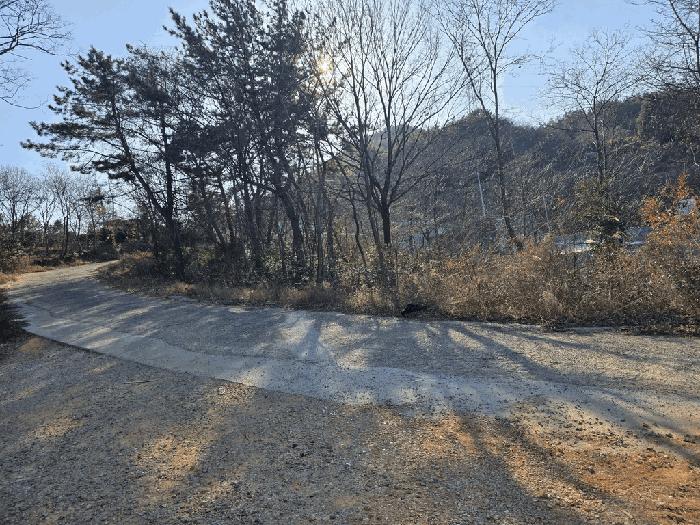 전라남도 여수시 소라면 봉두리 산438 임야 경매 사진 2