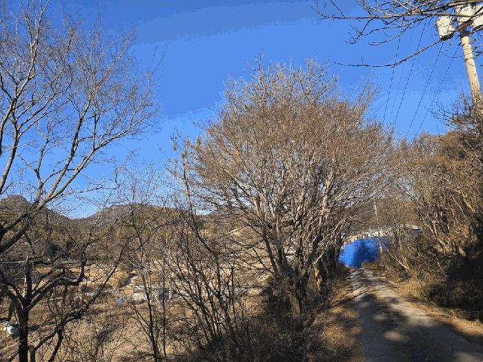 전라남도 여수시 소라면 봉두리 산438 임야 경매 사진 5