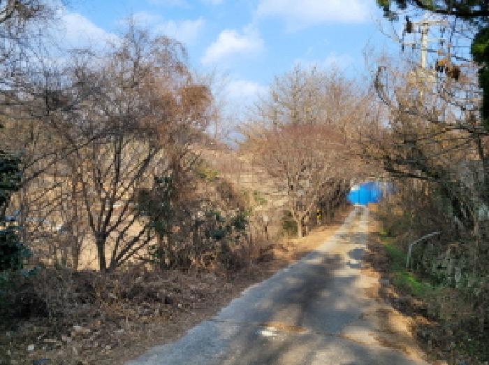 전라남도 여수시 소라면 봉두리 산438 임야 경매 사진 7