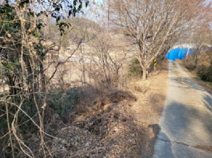 전라남도 여수시 소라면 봉두리 산438 임야 경매 사진 8