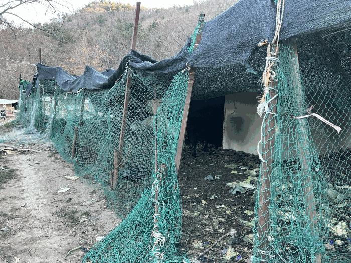 전라남도 여수시 돌산읍 우두리 557-1 답 경매 사진 2
