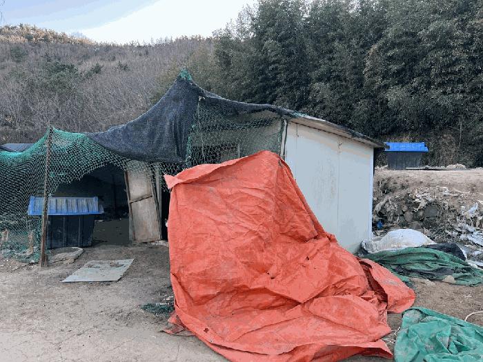 전라남도 여수시 돌산읍 우두리 557-1 답 경매 사진 3