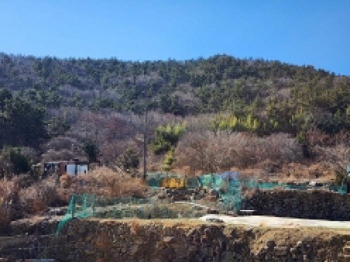 전라남도 여수시 돌산읍 우두리 557-1 답 경매 사진 4