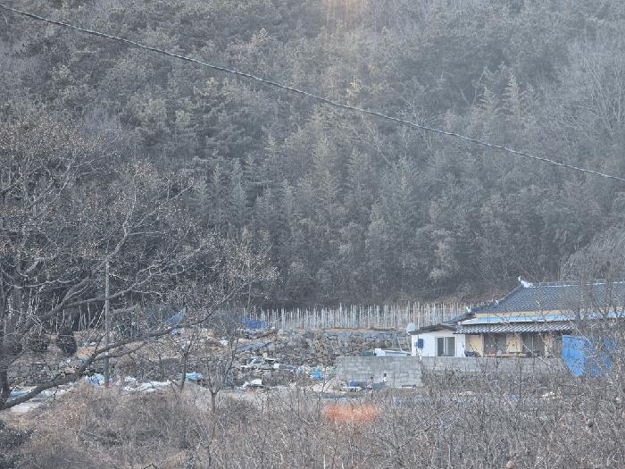 전라남도 여수시 돌산읍 우두리 557-1 답 경매 사진 7