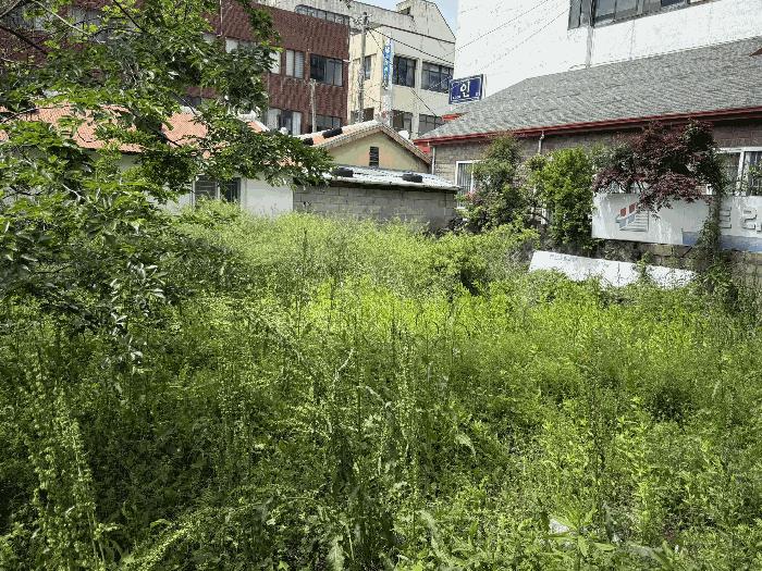 제주특별자치도 서귀포시 서귀동 269-8 대지 경매 사진 4