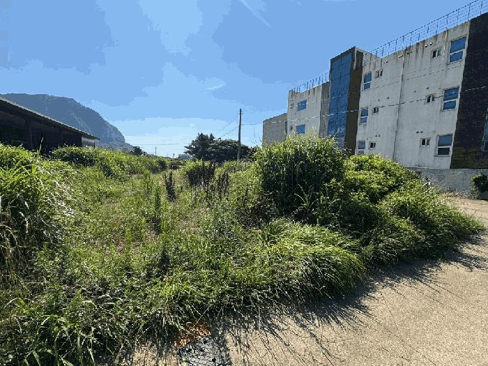 제주특별자치도 서귀포시 안덕면 사계리 2936-11 대지 경매 사진 8